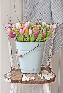 tulipbucket