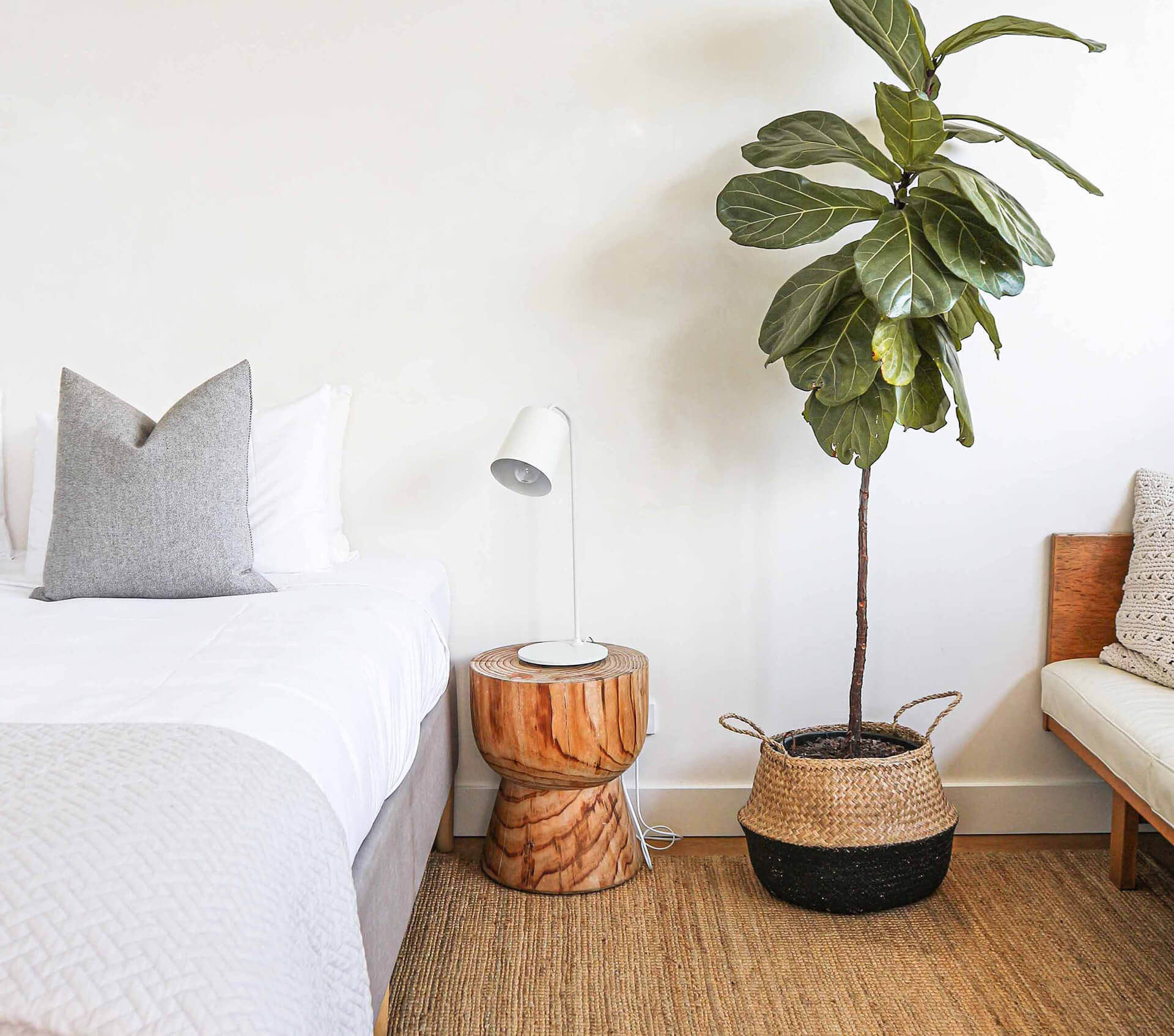 Home Decor